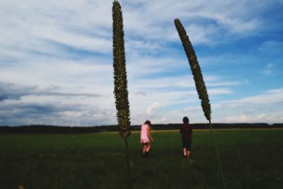 Close-up of plants with people in background