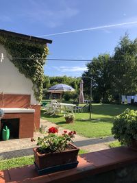 Potted plants outside house against sky