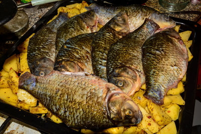 Close-up of fish for sale in market