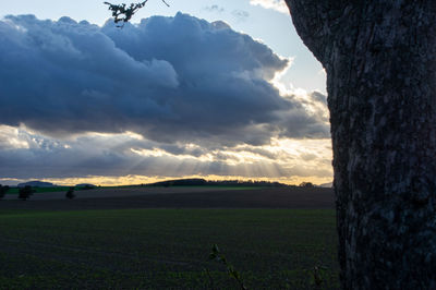 Scenic view of field against sky during sunset