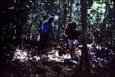 Rear view of people walking in forest