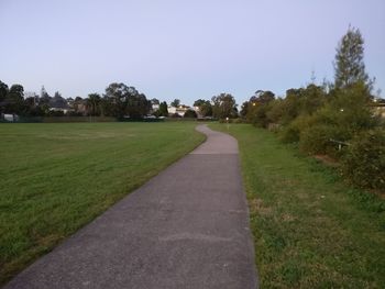 Road amidst green landscape against clear sky