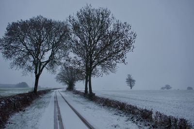 Snow covered road amidst bare trees against sky