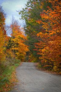 Road amidst trees against sky during autumn