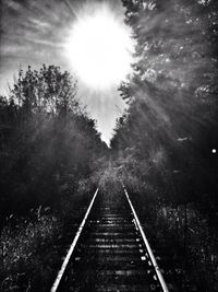 Railroad track in forest