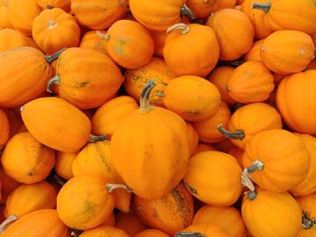 Full frame shot of pumpkins in market