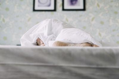 Close-up of hat relaxing on bed at home