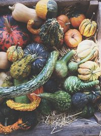 High angle view of pumpkins for sale at market stall