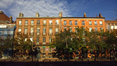 Trees in city against sky