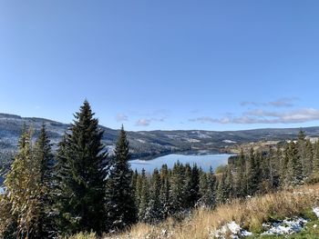 Scenic view of landscape against clear sky