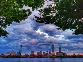 Buildings and trees against sky in city