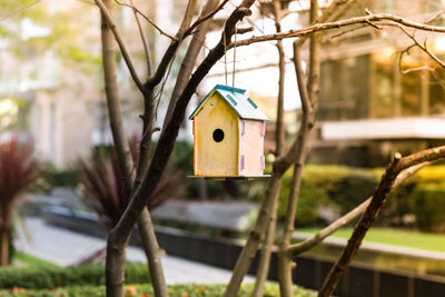 Wooden bird house in the city. illustration for real estate or construction. house rent concept.