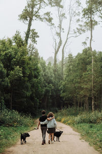 Rear view of couple walking dogs on a leash down a path in the forest