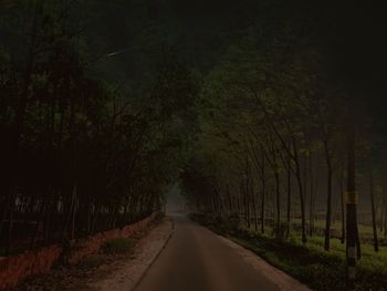 Road amidst trees against sky at night