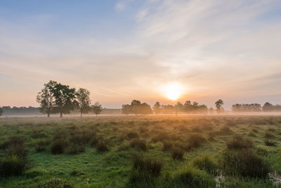 Scenic view of field against sky during sunset