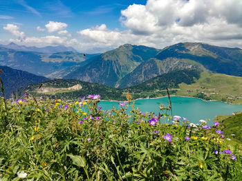 Scenic view of flowering plants by mountains against sky