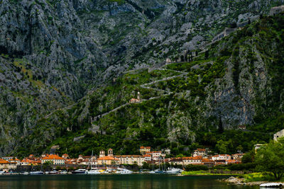 Calm lake with trees in background