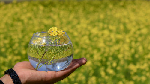 Close-up of person holding glass