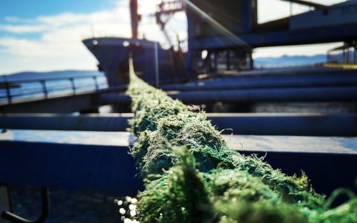 Close-up of rope against blurred background