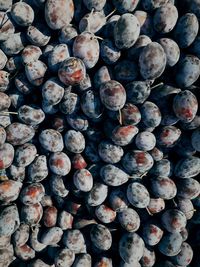 Full frame shot of blueberries