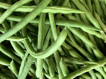 Full frame shot of green bean