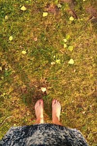 Low section of woman standing on grass