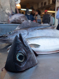 Close-up of fish for sale in market