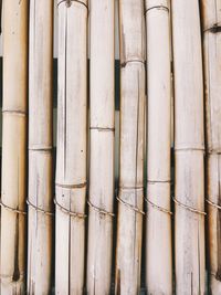 Full frame shot of bamboo wall