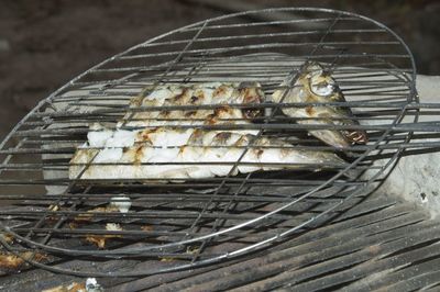 Close-up of crab on barbecue grill