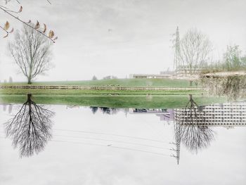 Birds flying over water against sky