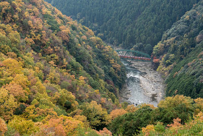 High angle view of waterfall in forest