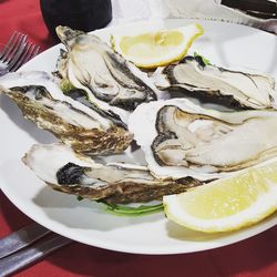 Close-up of oysters served in plate