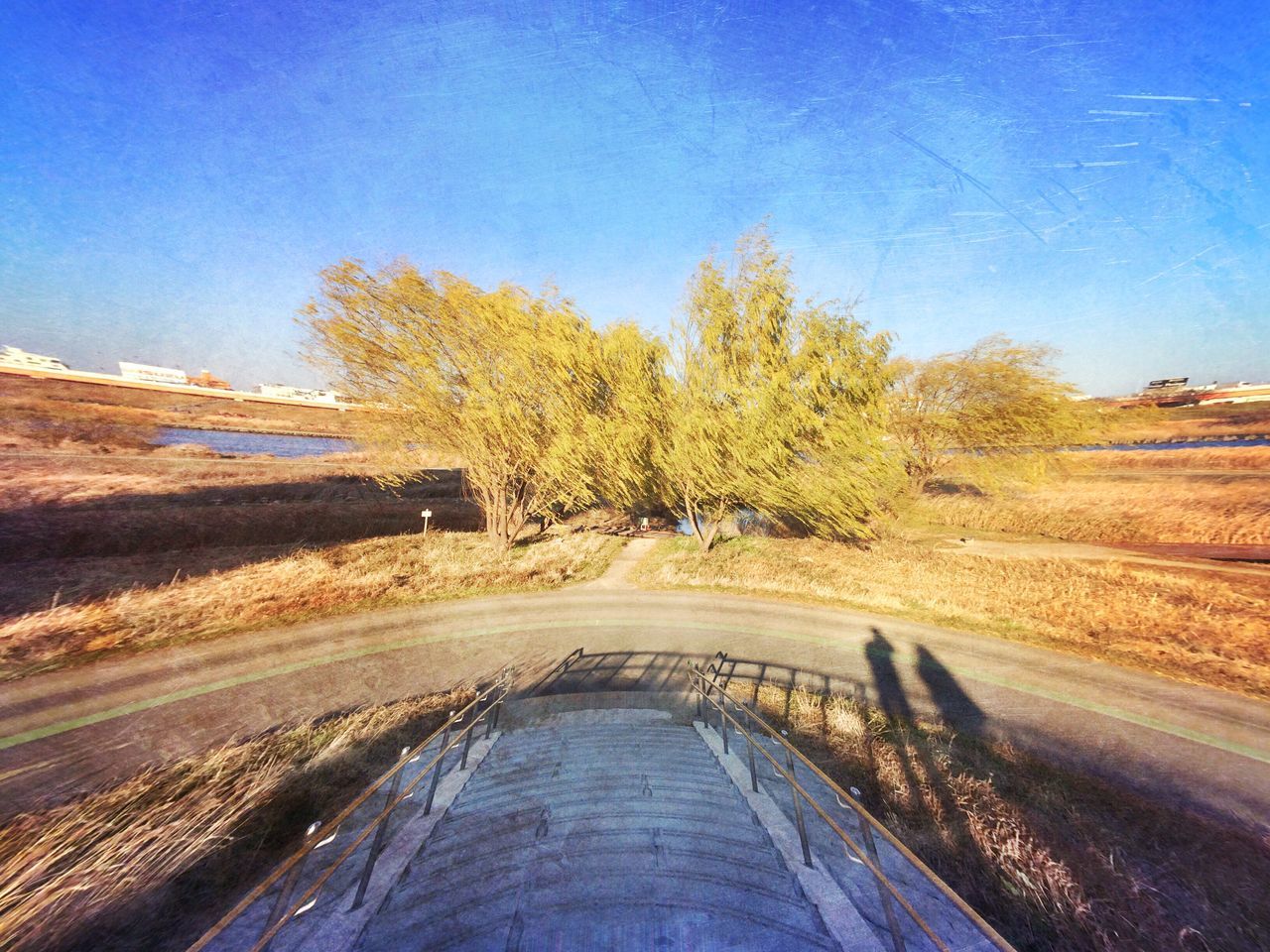 clear sky, blue, landscape, tranquility, tranquil scene, nature, road, beauty in nature, scenics, copy space, transportation, tree, non-urban scene, sky, field, outdoors, no people, day, sunlight, the way forward