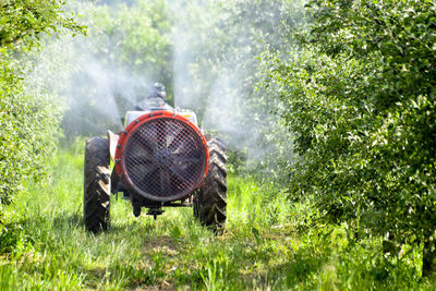 Rear view of person working on landscape