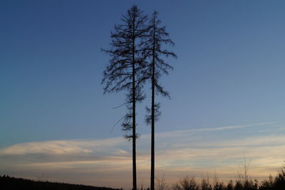 Low angle view of silhouette bare trees against sky during sunset