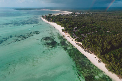 Aerial view of beach