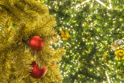 Close-up of christmas tree