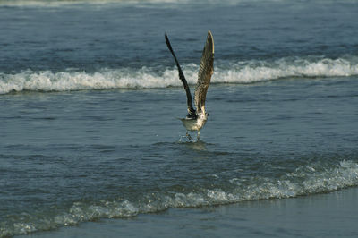 Walking on the beach