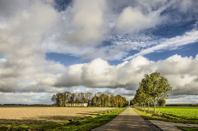 Road amidst plants on field against sky