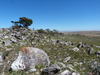 Scenic view of landscape against clear blue sky