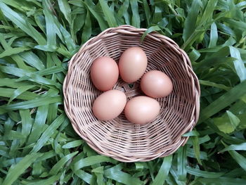 High angle view of eggs in basket
