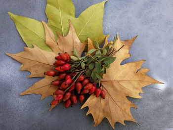 High angle view of maple leaves on floor