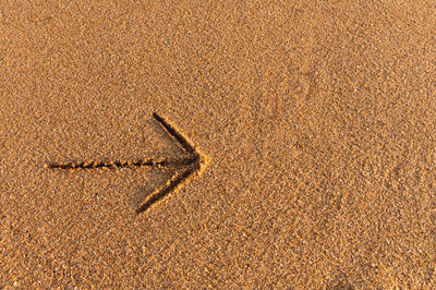 An arrow indicating the direction to the right, an inscription on the sand near the ocean or sea