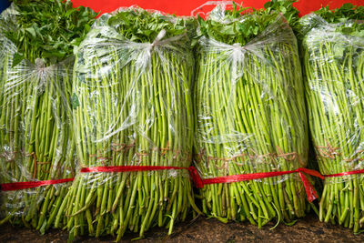 Panoramic shot of vegetables in market