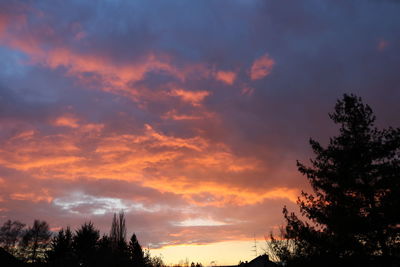 Silhouette of trees against cloudy sky