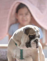 Close-up of dog against girl