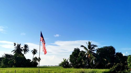 Low angle view of flag on palm trees against sky