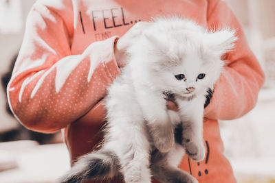 Close-up of white cat