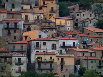 Buildings in town