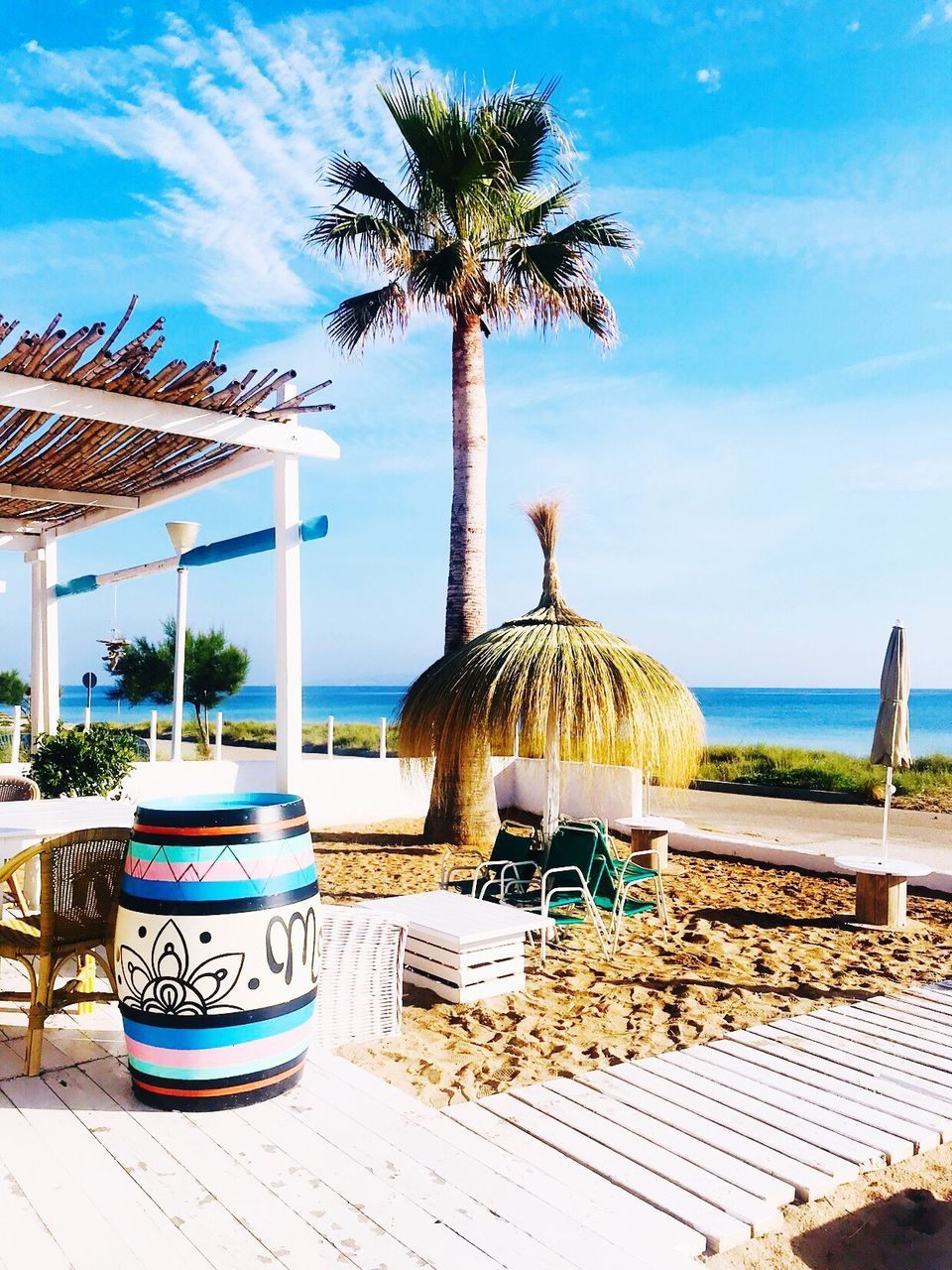 COCONUT PALM TREE ON BEACH